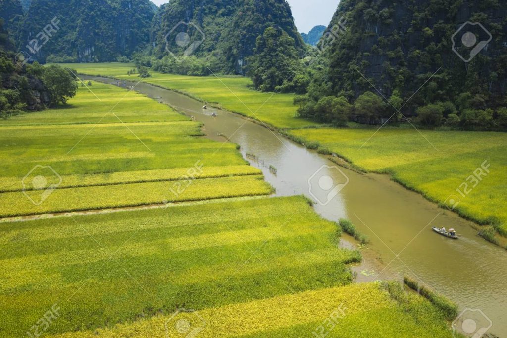 Holiday Asia