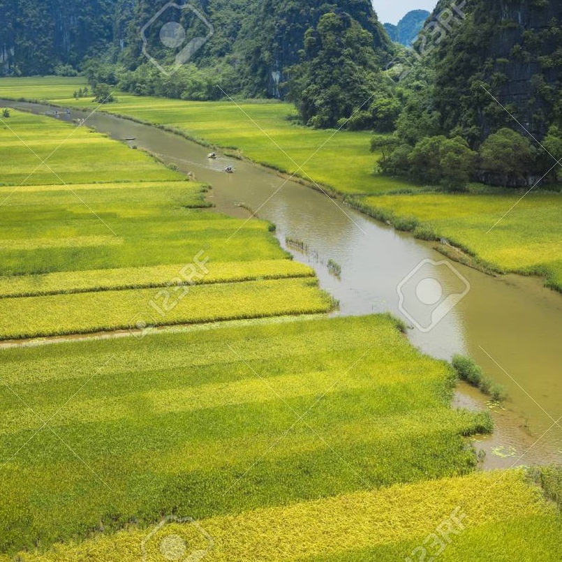 Holiday Asia