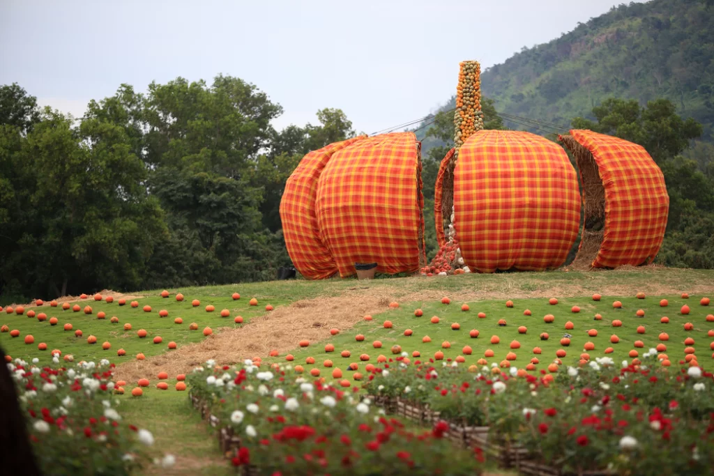 Holiday Asia